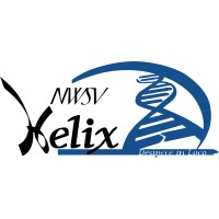 NWSV Helix logo - Similar company to Golf In Sight