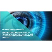 Visionary Strategic Solutions logo - Similar company to Nh Process Solutions