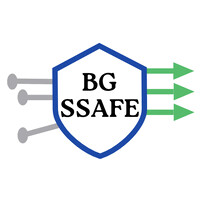 BGSSAFE Strategies LLC logo - Similar company to Benefit Comply, Llc
