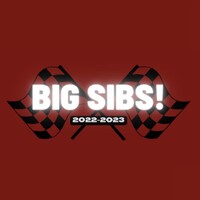 Big Sibs Program logo - Similar company to Pupilprep