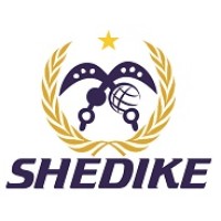 SHEDIKE GROUP logo - Similar company to Madeind8R