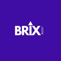 BRiX logo - Similar company to Action For Nature
