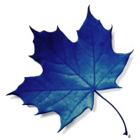 SAGA International Owners Association Management Services LLC logo - Similar company to Loams