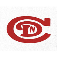 DN Construction logo - Similar company to Daddy Construction