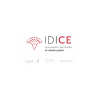 Idice Sa De Cv