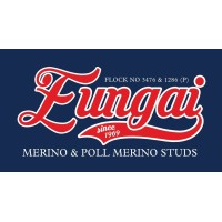 EUNGAI STUD logo - Similar company to Detail Earth
