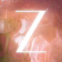 Ziandry.com (Previously-Blank Canvas Creatives LLC.) logo - Similar company to Vantage Business Development Solutions