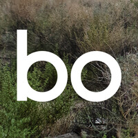 Bo logo - Similar company to Moose