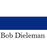 Bob Dieleman Professional Corporation logo - Similar company to Bates Chartered Professional Accountants