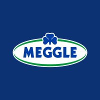 MEGGLE Africa and Middle East DMCC logo - Similar company to Hiroland