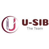 USIB The Team logo - Similar company to Interviewexam