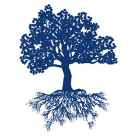 Monk Financial Strategies Group Llc