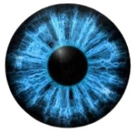 BLEU-IRIS logo - Similar company to Entrelacs