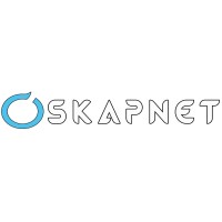 SAS SKAPNET logo - Similar company to Actinet 54