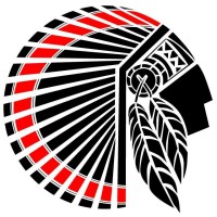 De Souza Dojo logo - Similar company to Jt Performance