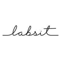 labsit logo - Similar company to Mf Tech Solutions