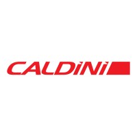Caldini Africa logo - Similar company to Caldini Europe