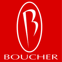 Boucher Automotive Group logo - Similar company to Benoit Bouchere