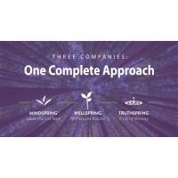 MindSpring™ Consulting, Inc logo - Similar company to Mindspring