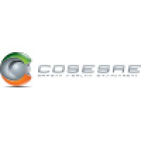 COSESAE logo - Similar company to Popping Consulting