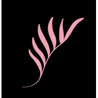 PinkPalmStudio logo - Similar company to Services Cng