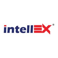 intellEx logo - Similar company to Dew Limited