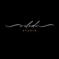 Vilodi Studio logo - Similar company to Adolèsêns