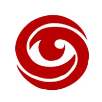 Recoin Consultancy Services logo - Similar company to Research Analytic