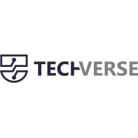 TECHVERSE.MA logo - Similar company to D3 Soft