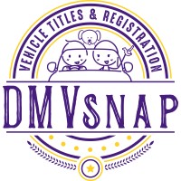 DMVsnap logo - Similar company to Sunset Vibes