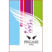PEGASE SARL FACONNAGE CONDITIONNEMENT logo - Similar company to Koryo