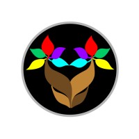 Pachir'art logo - Similar company to A&E Properties And Management