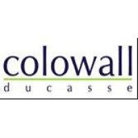 Colowall Diseño Limitada