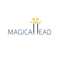 Magicallead logo - Similar company to Dynamic Results Network