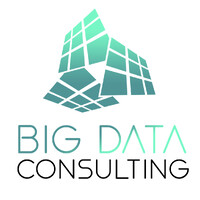 Big Data Consulting logo - Similar company to Izo Learn