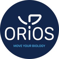 Health Design Creation 