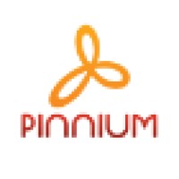 Pinnium Bags