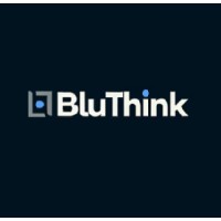 BluThink Ventures logo - Similar company to Magnolia Trade Srl