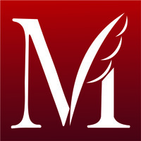 Maven Consulting Services logo - Similar company to Fractionalops.