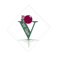 Vit'Opti 🍇 Innovation & Viticulture logo - Similar company to Tyllt