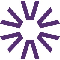 Visera Teknoloji ve Danışmanlık logo - Similar company to Labsgate