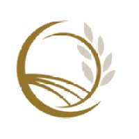 Carbon Sync logo - Similar company to Stray Blocks