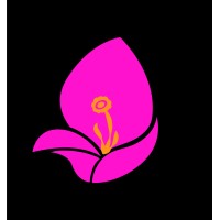 Ruiz Alvarez Consulting logo - Similar company to Sibiapps