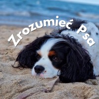 Zrozumieć Psa logo - Similar company to Sensevr