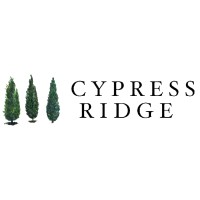 Cypress Ridge Capital logo - Similar company to Semaphore Solutions