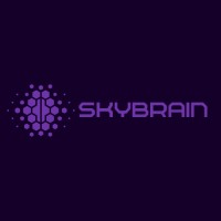 SkyBrain Neurotech logo - Similar company to Brainsight