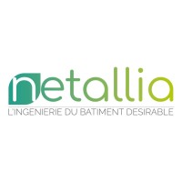 NETALLIA logo - Similar company to Afrigroupe