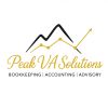 Peak VA Solutions - Virtual Accounting & Advisory logo - Similar company to Cubepros