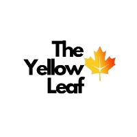The Yellow Leaf logo - Similar company to Yellow Leaf Marketing