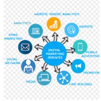 Online Digital marketer